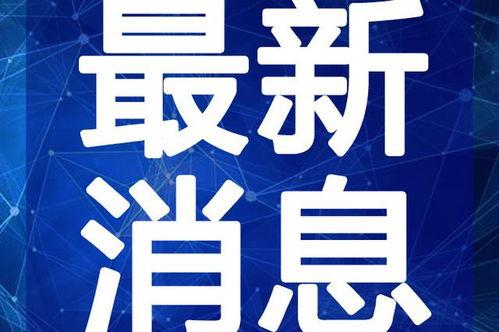 工头老舅最新爆料视频,工地内幕大曝光！